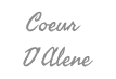 Coeur D’Alene Casino