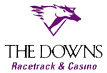 The Downs