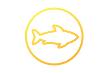sea-life