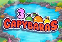3 Capybaras