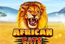 Africa Cats