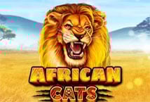 Africa Cats
