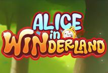 Alice in Winderland