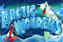 Arctic Wonders ™