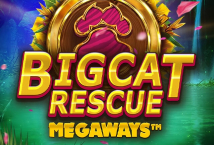 Big Cat Rescue MegaWays