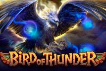 Bird of Thunder ™