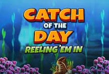 Catch of the Day Reeling Em In