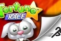 Fortune Race