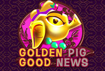 Golden Pig Good News