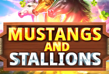 Mustang and Stallions
