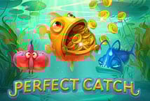 Perfect Catch