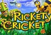 Rickety Cricket