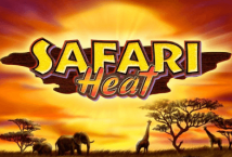 Safari