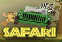 Safari Magnet