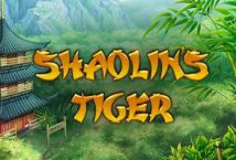 Shaolin Tiger