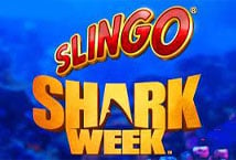 Slingo Shark Blitz - Play Slingo Games at Slingo Arcade