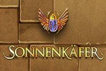 Sonnenkafer