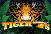 Tiger 7s
