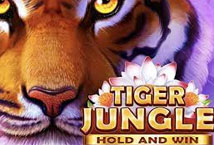 Tiger Jungle Hold and Win