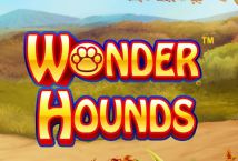 Cash hound slot machine Cash hound slot machine