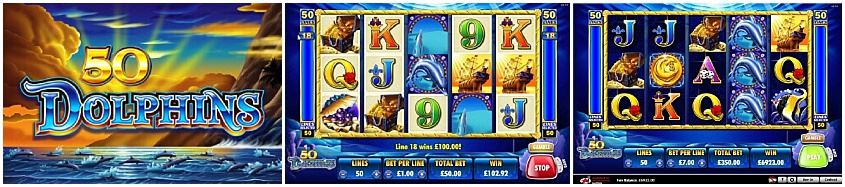 50 Lumba-Lumba Slot
