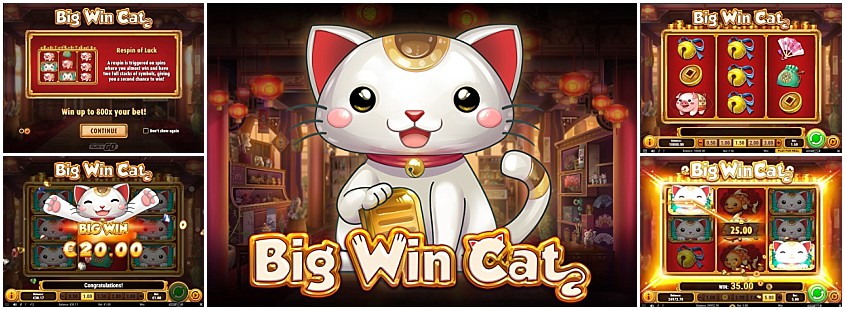 Big Win Cat Slot - Free Play in Demo Mode - Jul 2023