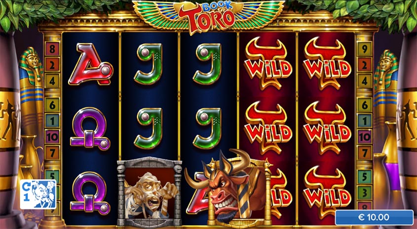 Buku Toro