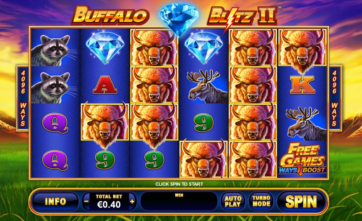 Buffalo Blitz 2