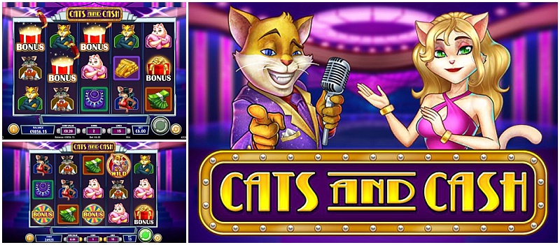 Cash Cats slot