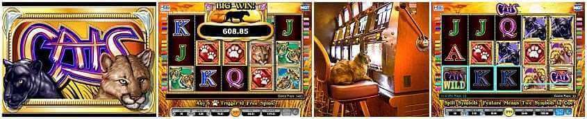 Slot Kucing