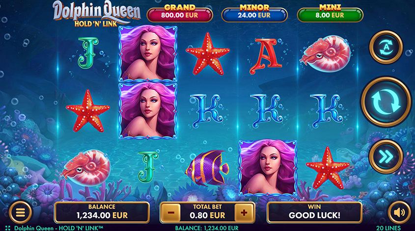 Dolphin Queen Hold n Link