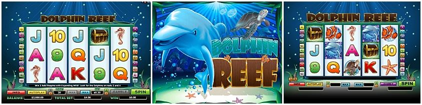 Free Spin Bonus ️ Casinò https://mega-moolah-play.com/ontario/newmarket/funky-fruits-slot-in-newmarket/ Online Free Spins Gratis