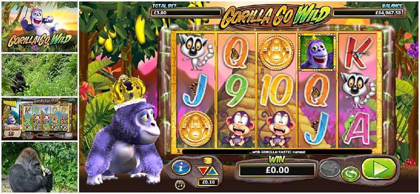 Go Wild Casino Flash Version