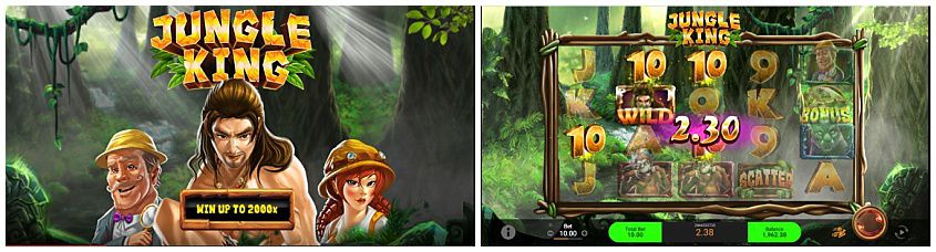 Slot Jungle King Slot Jungle King