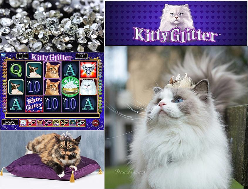 Slots Kitty Glitter: jogos, rodadas e bônus gratuitos - dez 2023