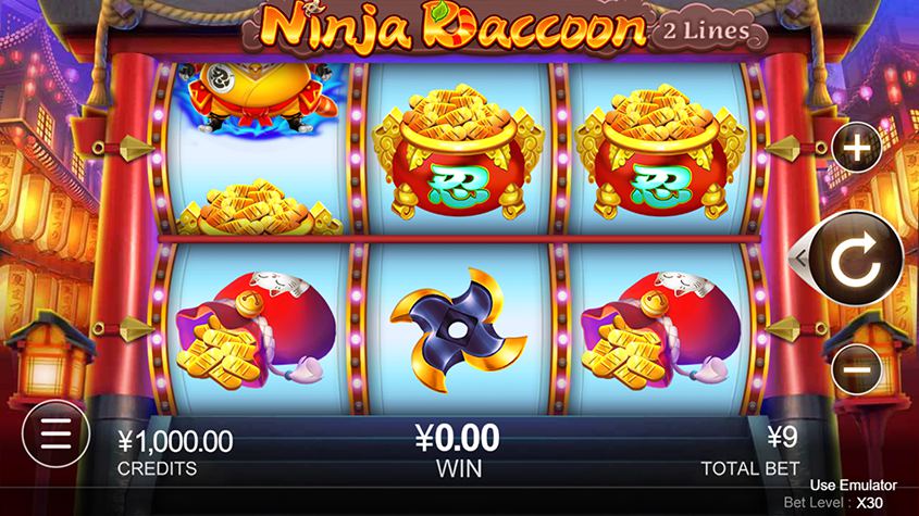 Rakun Ninja