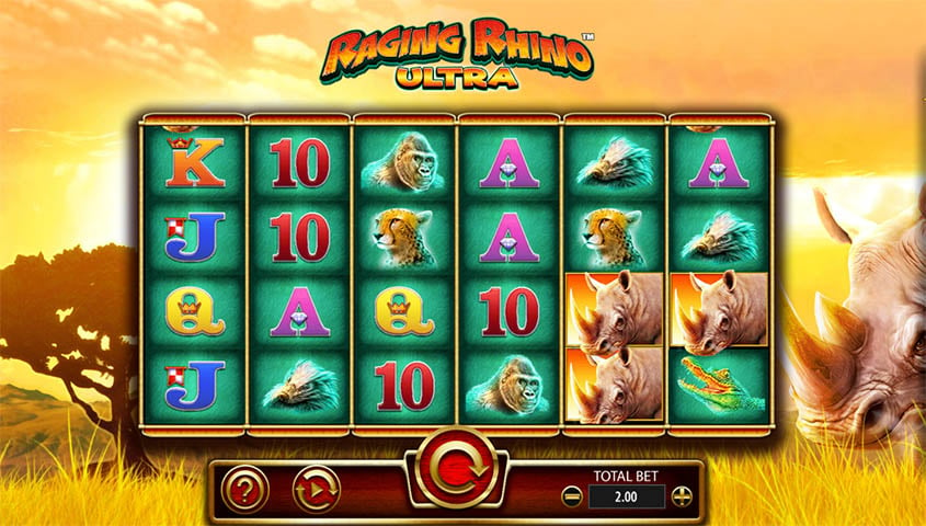 Gambling establishment bingo for real money canada Acceptance Incentive 2023