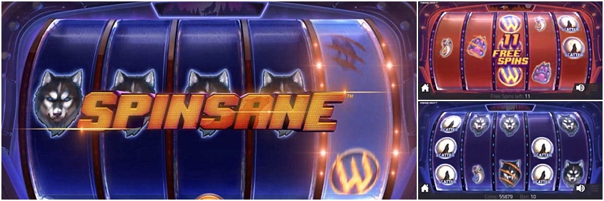 Spinsane slot review Spinsane slot review