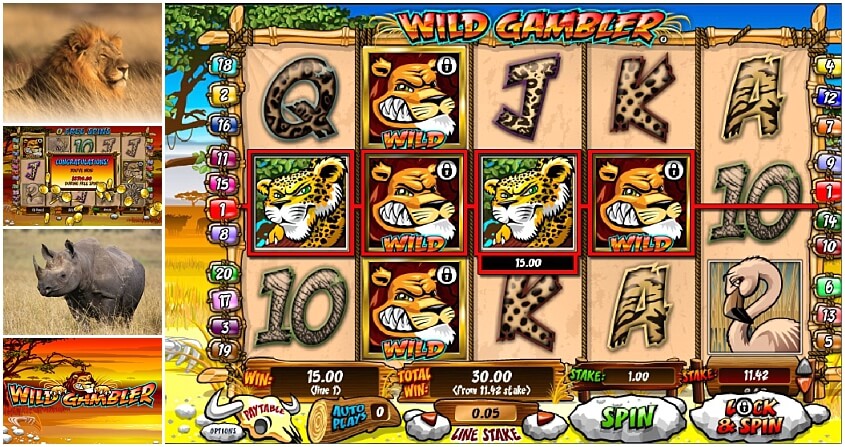 Wild gambler rtp tv Wild gambler rtp tv