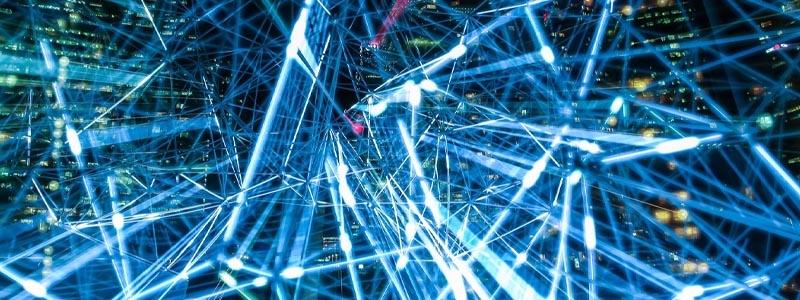 Flamingo Metaverse Casino Shutdown Across USA